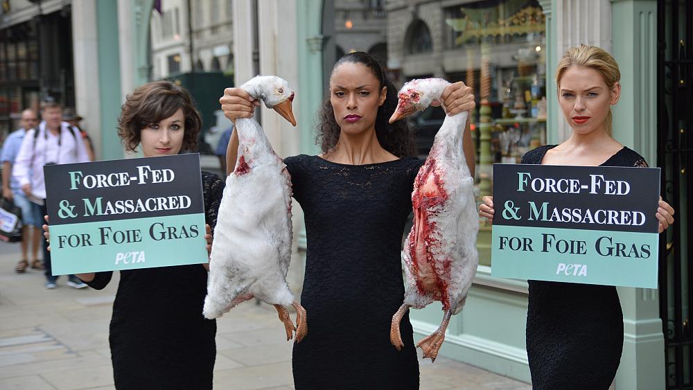 ‘Sadistic and inhumane’ sale of foie gras must be banned in the EU
