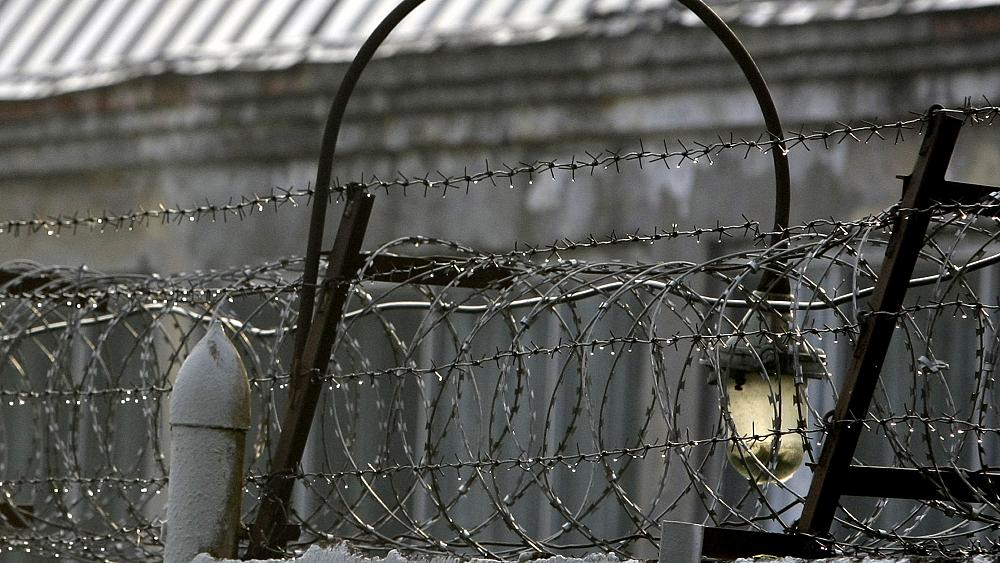 Turkey and Russia have highest incarceration rate, says Council of Europe report