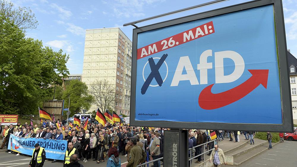 Germany: Far-right AfD attempts to bridge divisions before September election