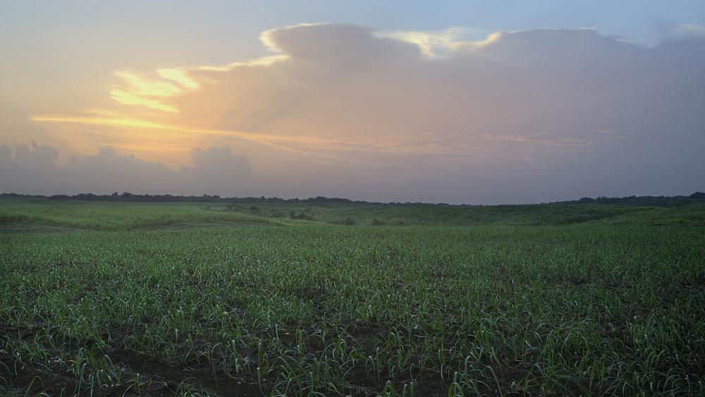 Ron Barceló introduces its RB360 Sustainability code