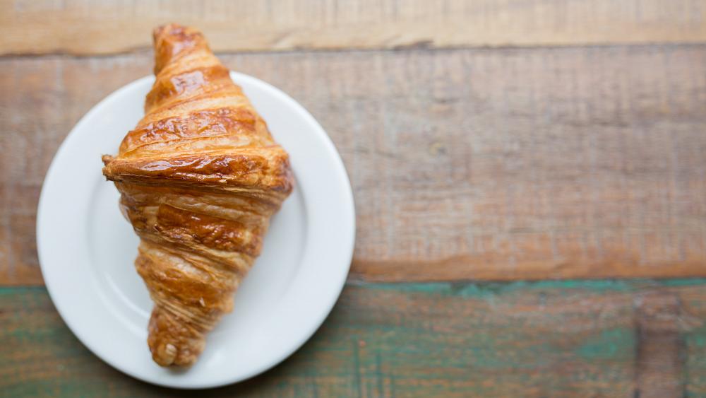Mystery animal sighting in Krakow ends up being a croissant