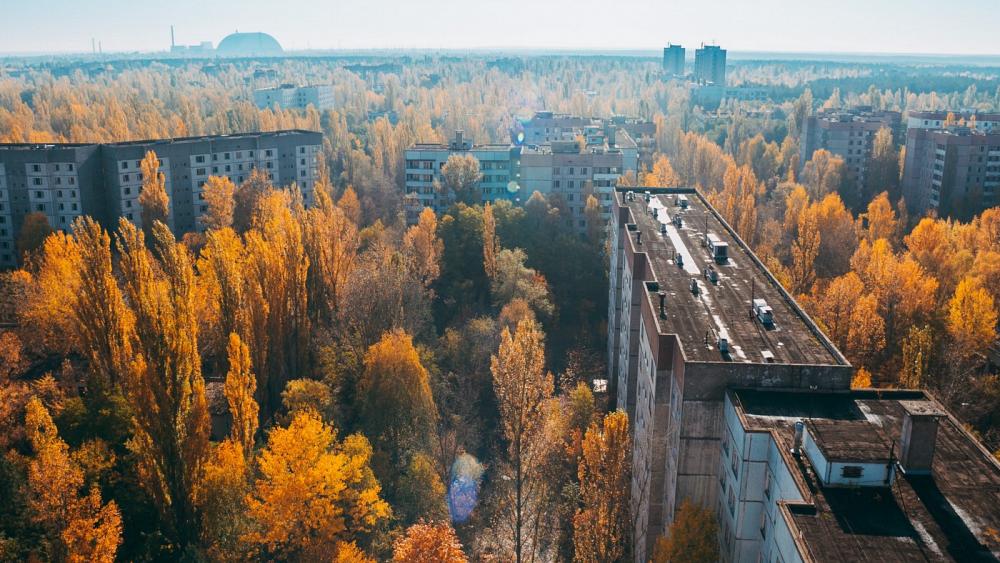 Chernobyl: Why the nuclear disaster was an accidental environmental success