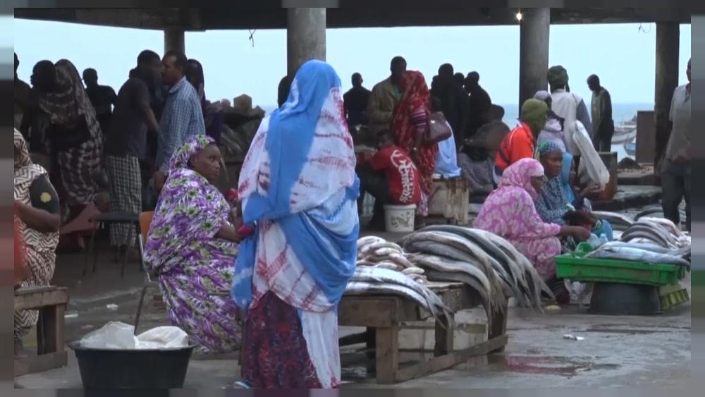 European companies criticised over West African food security