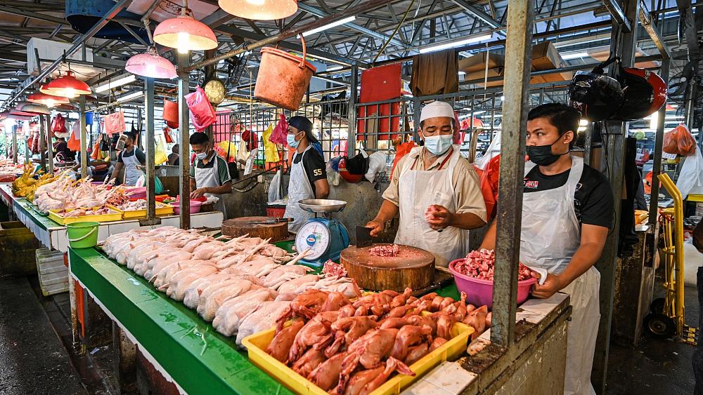 ‘Wet markets’ are not as bad for health and biodiversity as we think